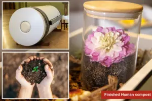 New Jersey Approves Human Composting as Sustainable Burial Option