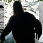 Global Alliance Formed to Investigate Legendary Creatures