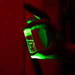 Scientists Unlock Insights into Brain Development with Organoids