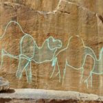 Archaeologists Uncover Ancient Camel Carvings in Saudi Desert