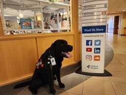 Holland Hospital Celebrates Volunteers and Their Four-Legged Friends