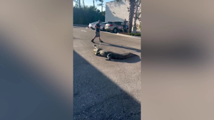 Rare Japanese Robot Toy Car Fetches Over $230,000 at Auction