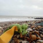 Shipwrecked Containers of Bananas Wash Up on West Sussex Beaches