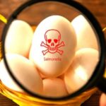 UK Salmonella Strain Likely Introduced to South Korea, Study Reveals