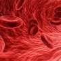 Study Links Red Blood Cell Changes to Diabetes-Related Heart Risks