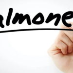 Whole Genome Sequencing Cuts Salmonella Cases in Australia