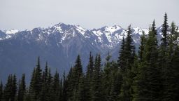 Woman Killed in Rare Mountain Lion Attack in Colorado