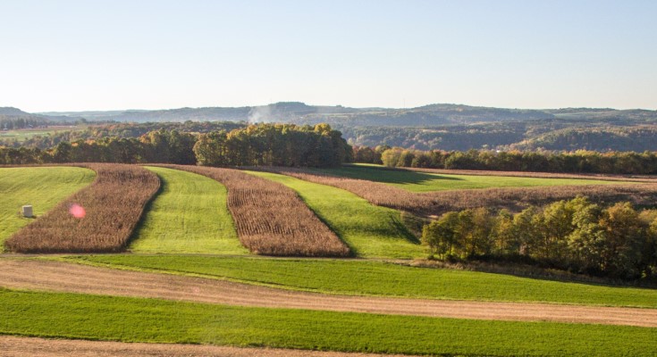 Pennsylvania Invests $2.2M in Farm Research to Boost Agriculture