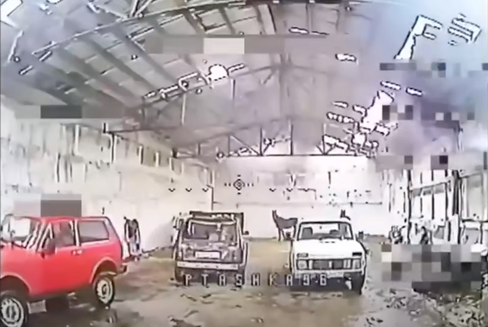 Ukrainian Drone Pilot Discovers Russian Arsenal of Horses, Cars